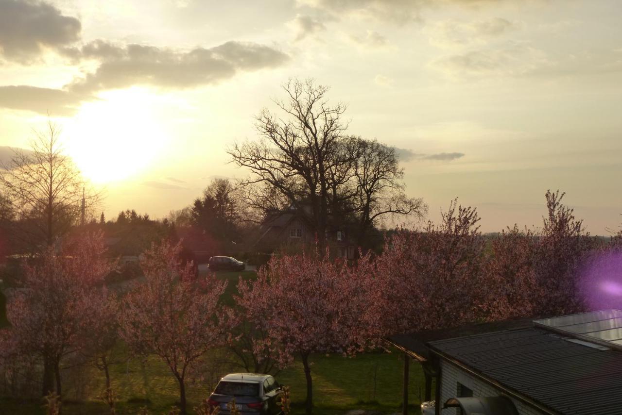 Appartement Elbe Ferien *