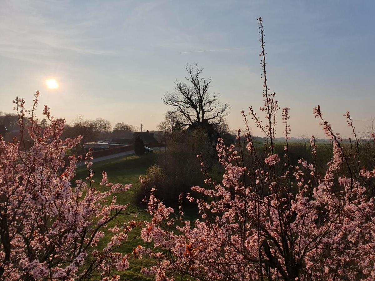 Elbe Ferien Marschacht